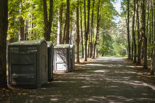Best Affordable portable toilet rental  in Menahga, MN